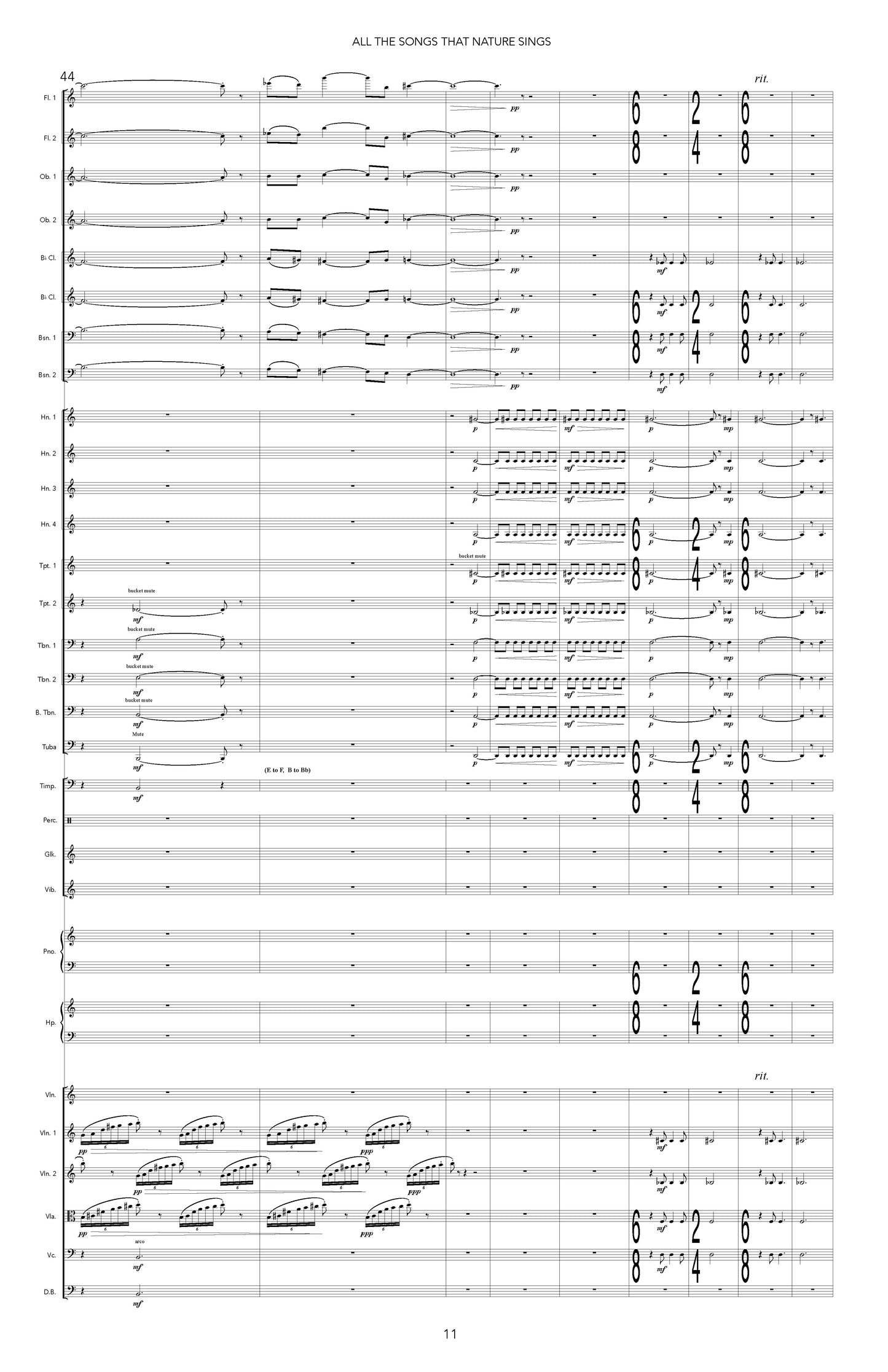 All the Songs that Nature Sings