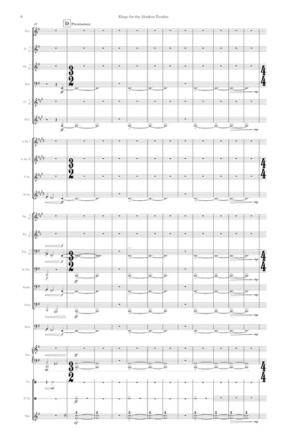 Elegy for the Alaskan Tundra