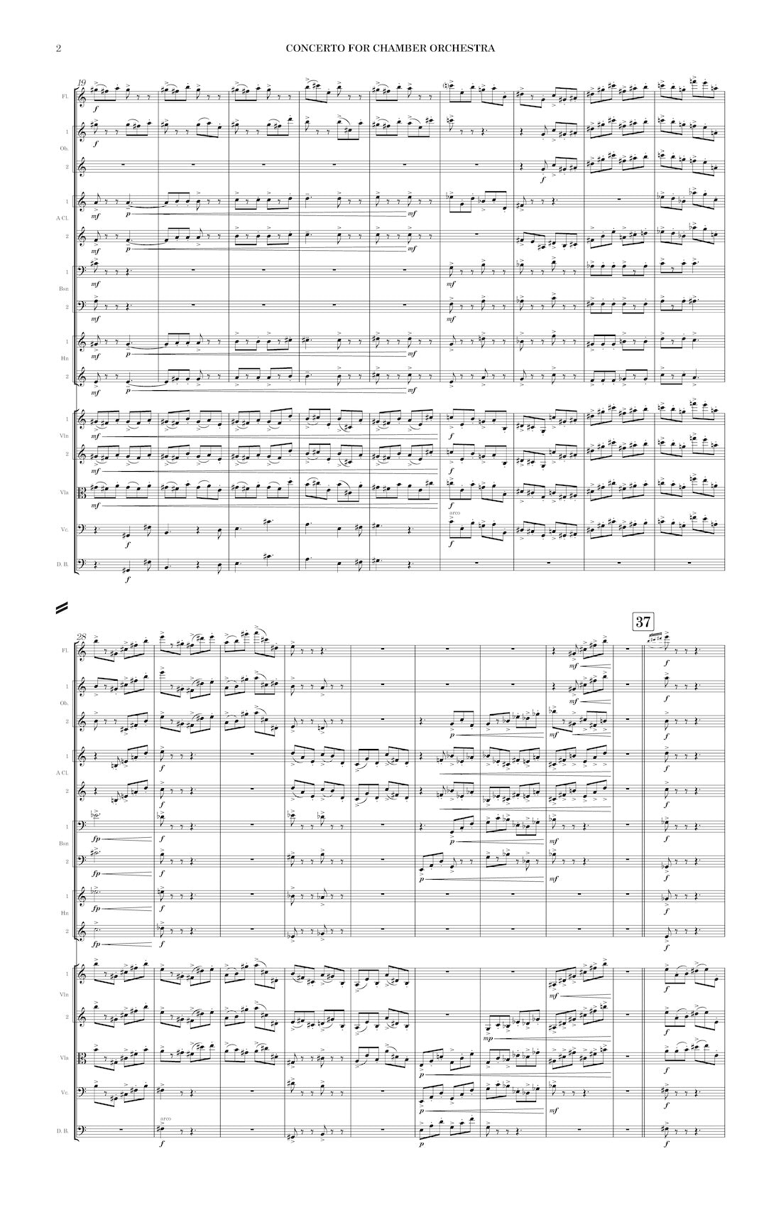 Concerto for Chamber Orchestra