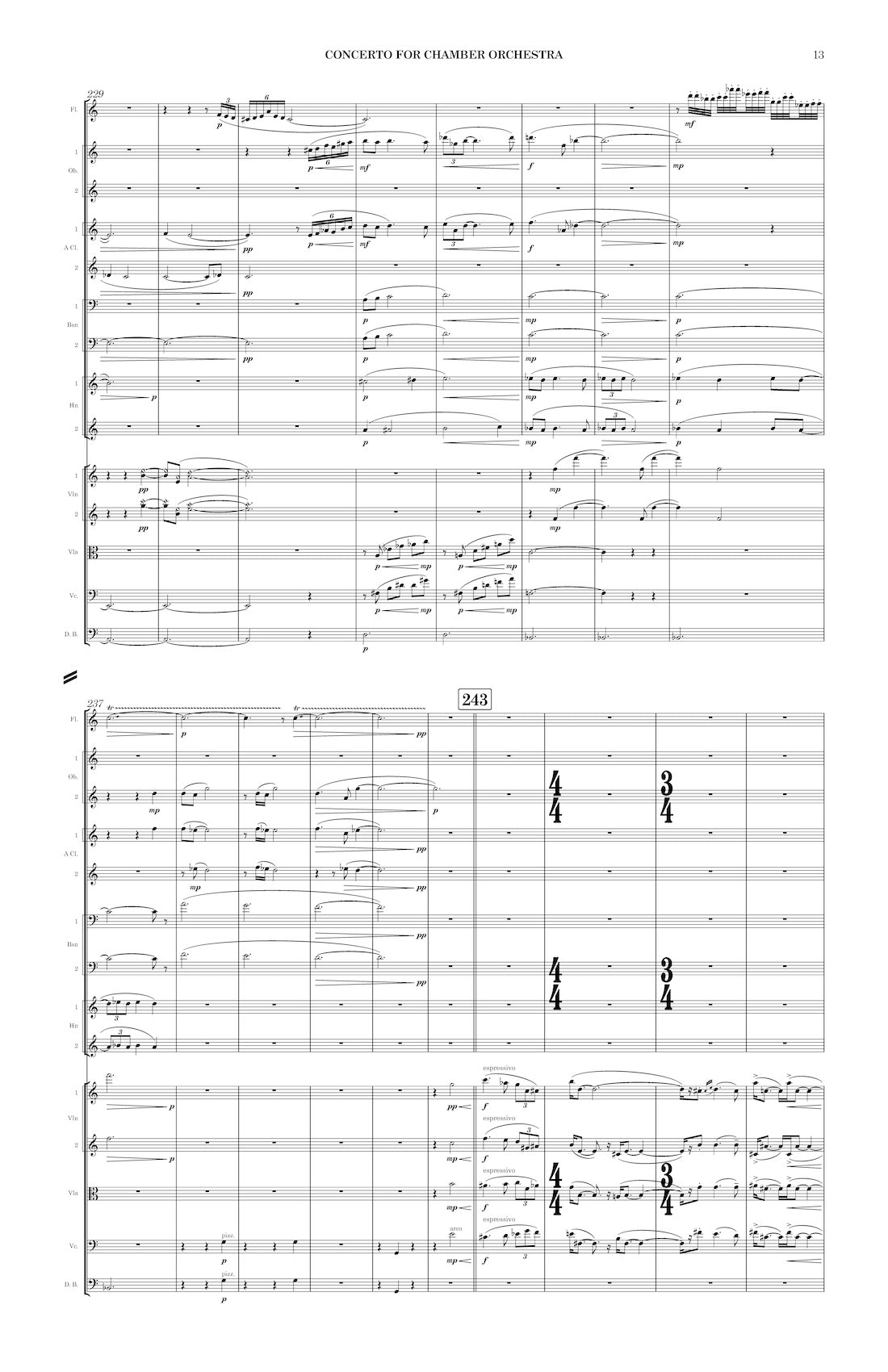 Concerto for Chamber Orchestra