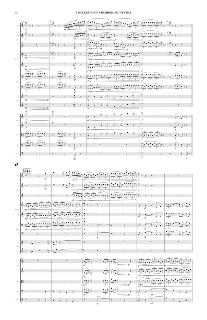 Concerto for Chamber Orchestra