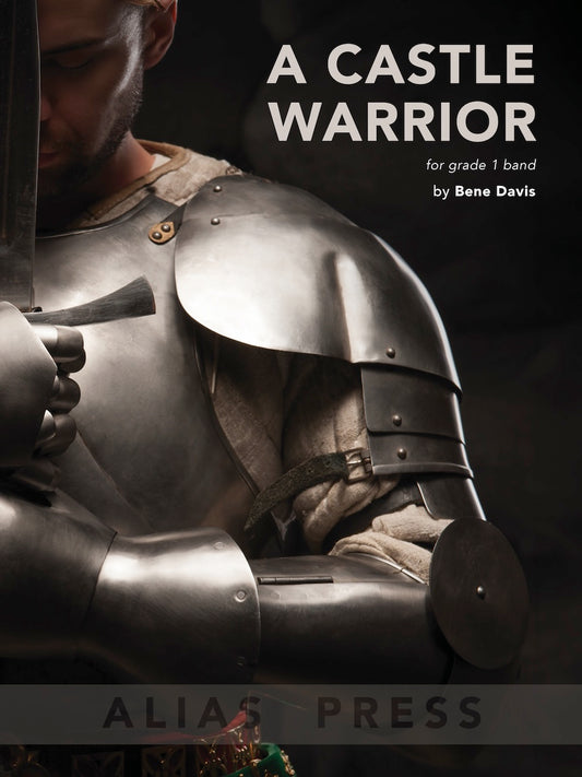 A Castle Warrior